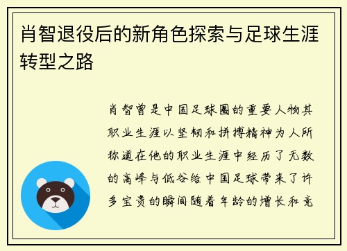 肖智退役后的新角色探索与足球生涯转型之路
