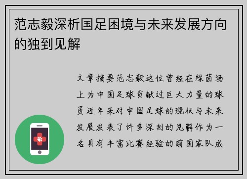 范志毅深析国足困境与未来发展方向的独到见解